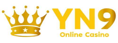 yn9 club logo